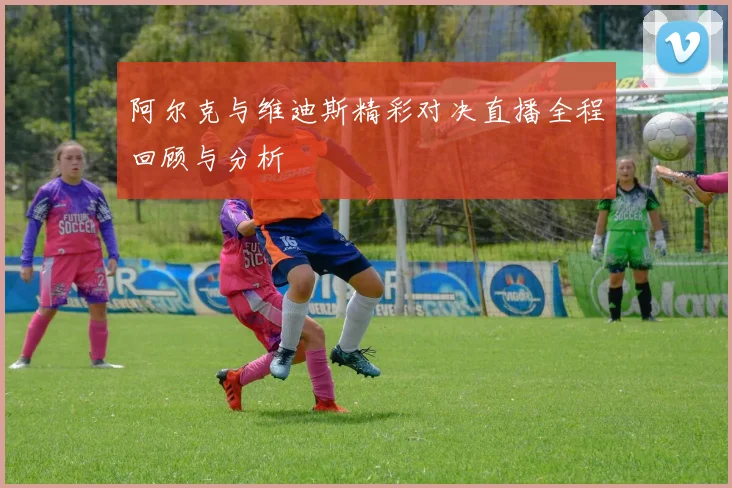 阿尔克与维迪斯精彩对决直播全程回顾与分析