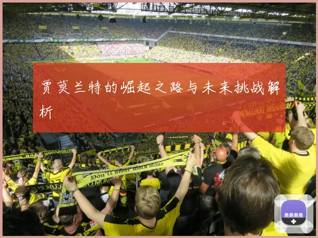 贾莫兰特的崛起之路与未来挑战解析
